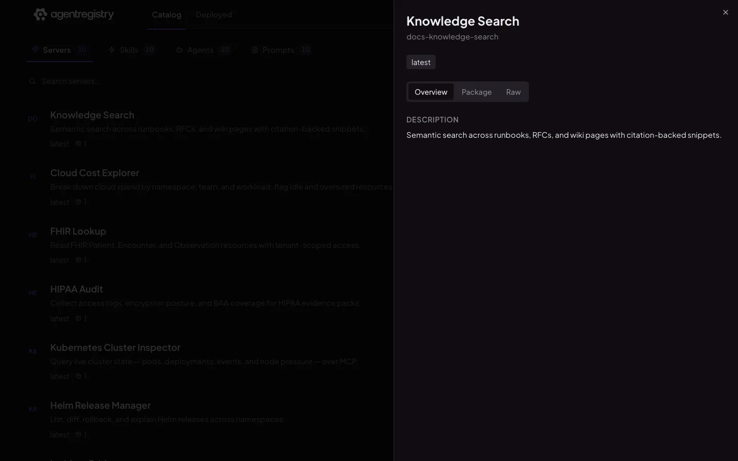 The agentregistry web UI — Server details — Overview