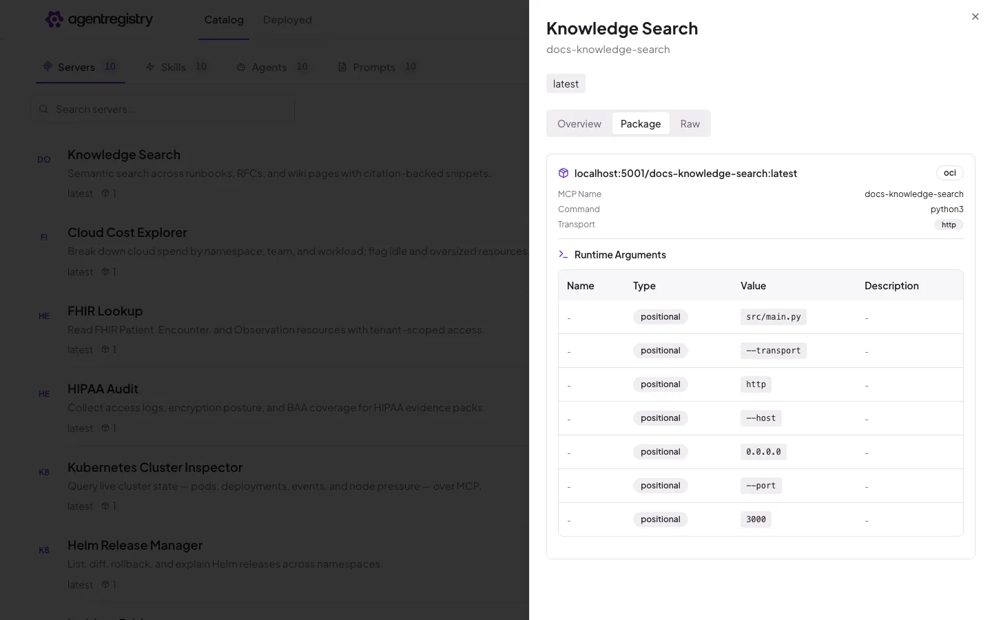 The agentregistry web UI — Server details — Package